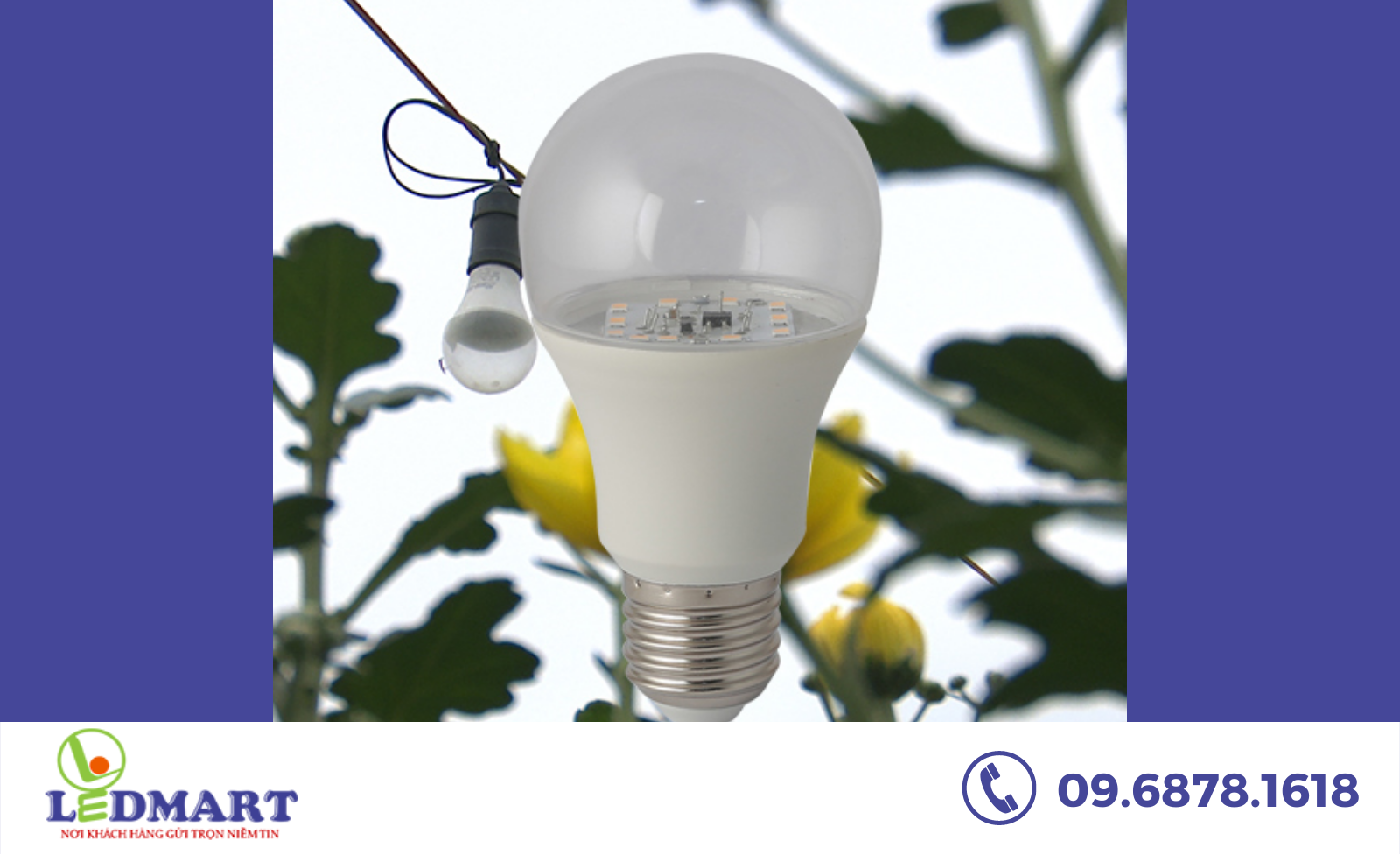 Đèn LED hoa cúc Rạng đông LED HC A60/6W WR